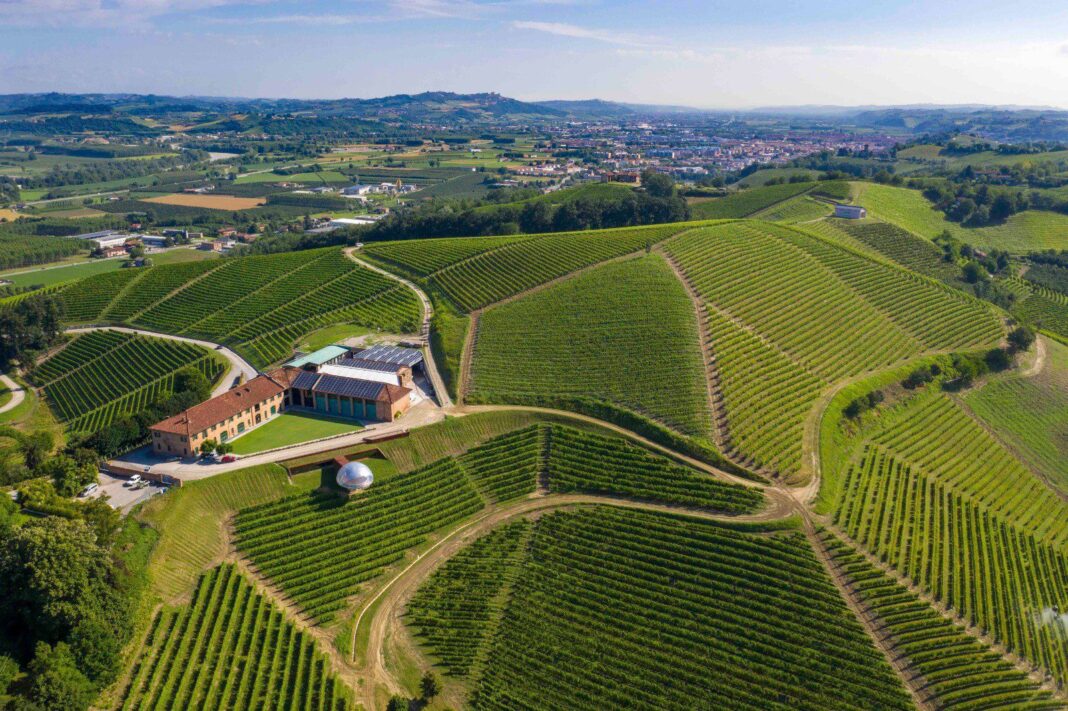 Ceretto: nuove degustazioni e percorsi tra le vigne Ceretto: nuove degustazioni e percorsi tra le vigne