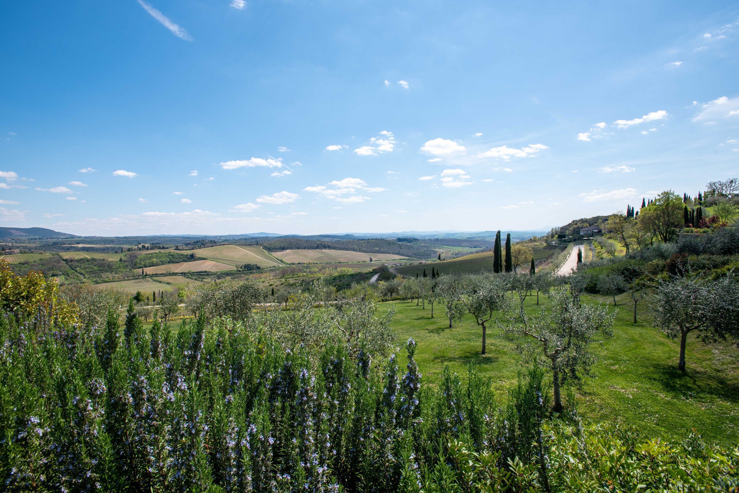 RIAPRE HOTEL LE FONTANELLE UN'OASI DI PACE E BELLEZZA TRA LE COLLINE DEL CHIANTI 1 HOTEL LE FONTANELLE 2 scaled