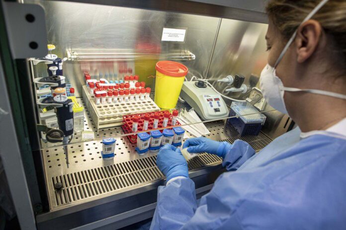 coronavirus-3