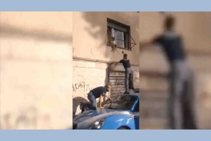 polizia