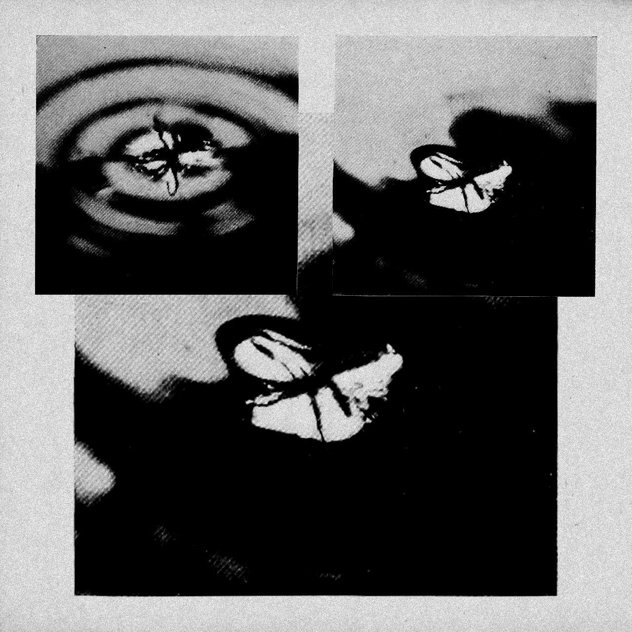 Odio gli addii COVER