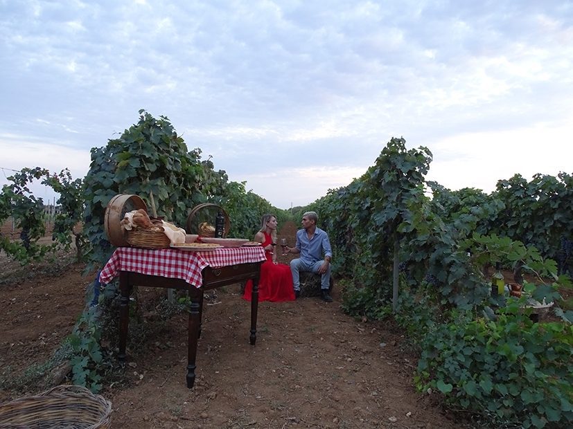 Nel Salento è iniziato il grande rito della vendemmia nelle Tenute Schiena 2 wvendemmia