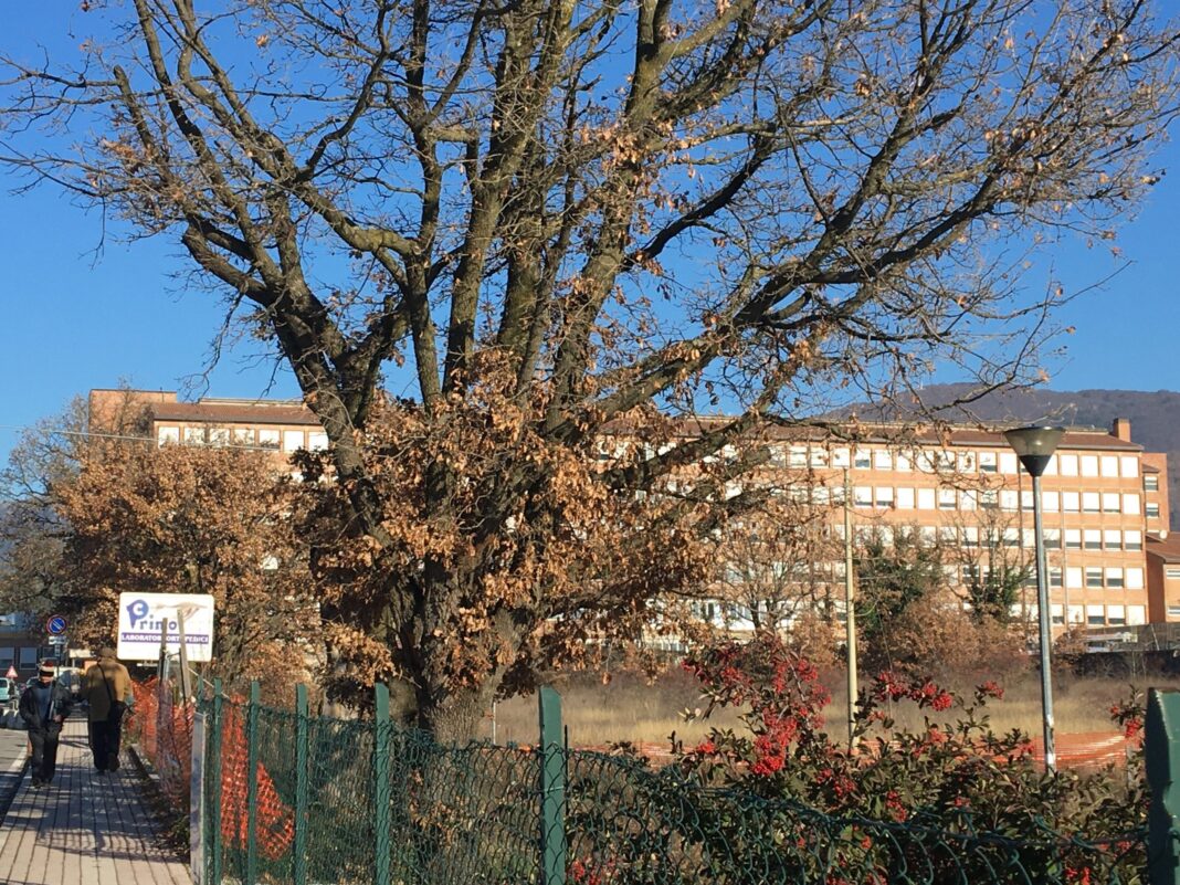 Appalti alla Asl di Rieti. Filcams e Uiltucs: “Qualcosa non torna Appalti alla Asl di Rieti. Filcams e Uiltucs: “Qualcosa non torna