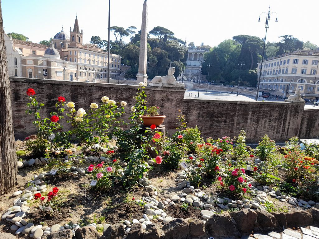 "Una Rosa per Roma"- Associazione 1 20220516 091043