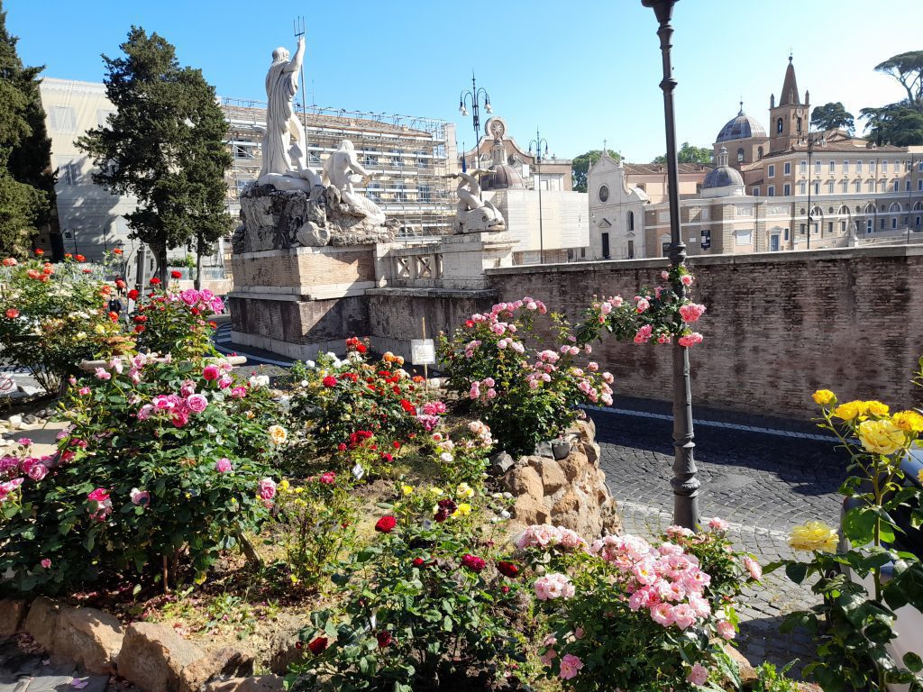 "Una Rosa per Roma"- Associazione 2 20220516 091112 1