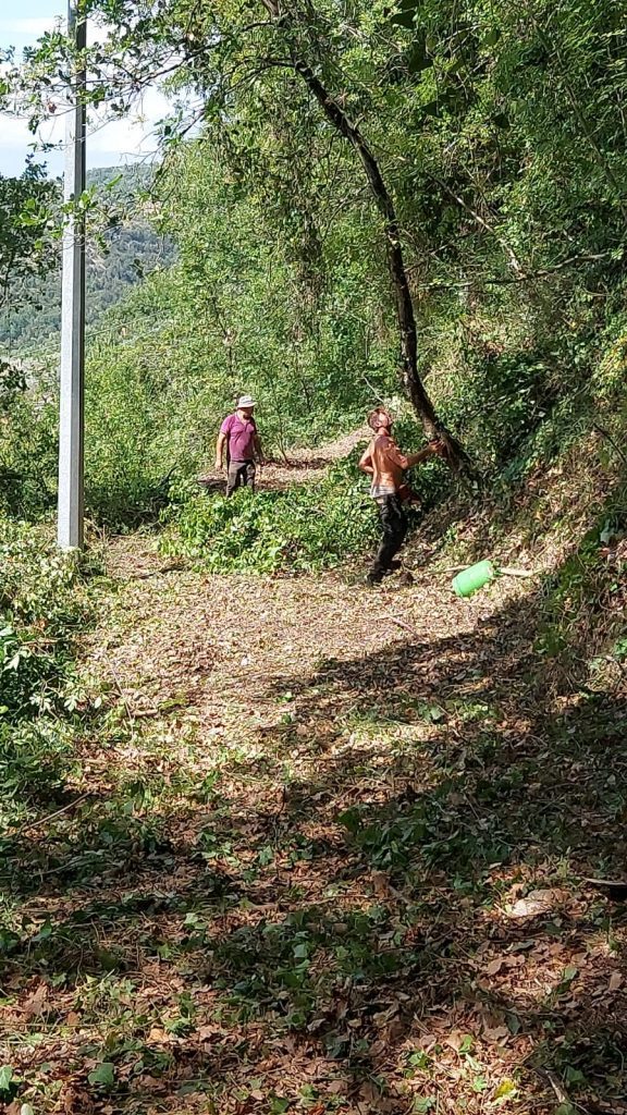 “LA PASSEGGIATA DI SAN PANTALEONE” 1 3da84070 1ddc 47af 8fc2 6487e5888b80 2