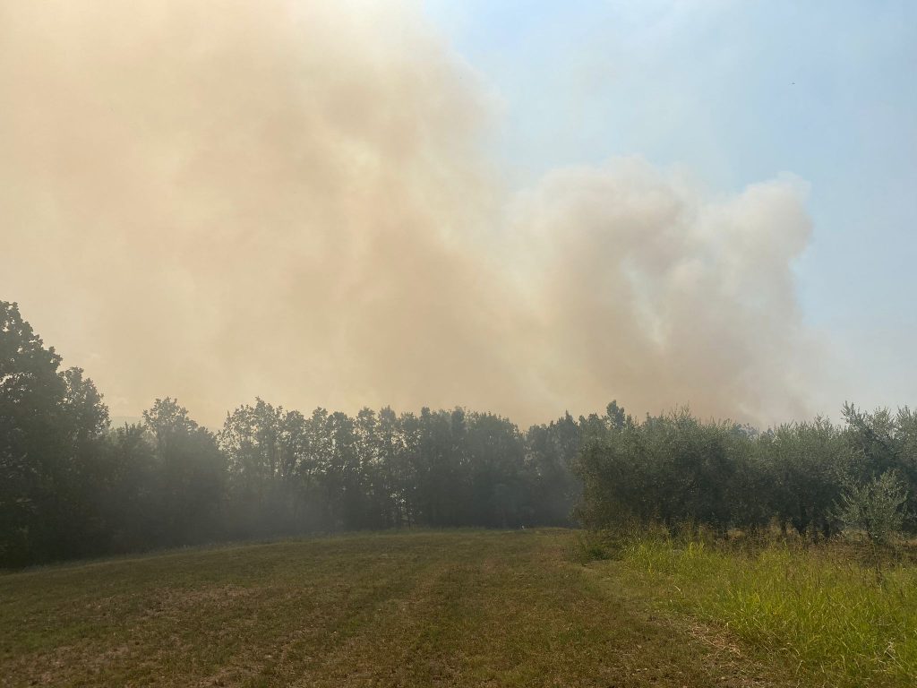 Due incendi importanti sul territorio di Roccadarce zona Fraioli e su Santopadre zona Vallemammoli 1 5d4bb77c b87e 4ed7 9998 db8b2018a46b