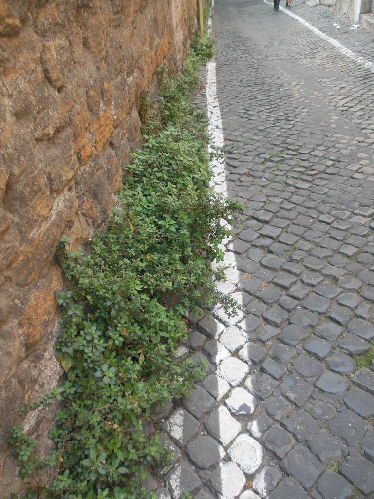 IL 9 OTTOBRE 2022 A ROMA 2 ROMA al Ghetto 9.X.2022 min