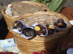 A Roccamonfina per raccogliere le castagne Igp e alla ricerca di noi stessi 2 piccola cesto castagne