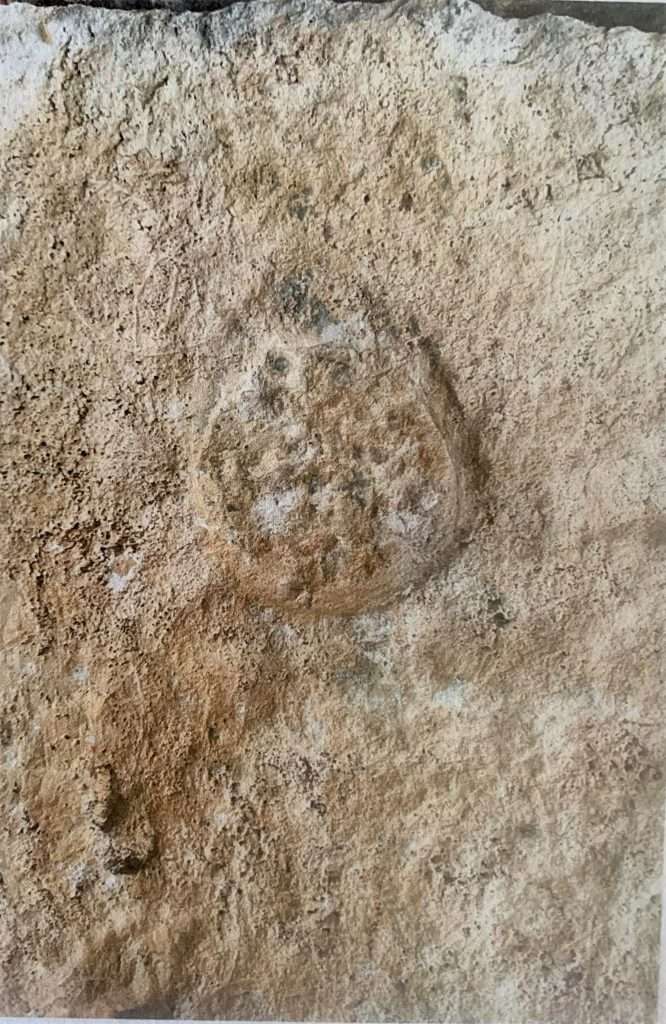 FRASSO SABINO: LA GROTTA DEI MASSACCI 1 foto n 1