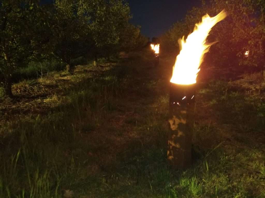 MALTEMPO: COLDIRETTI, FUOCHI NEI FRUTTETI AL GELO, MA SOS SICCITA' 1 fuochi2