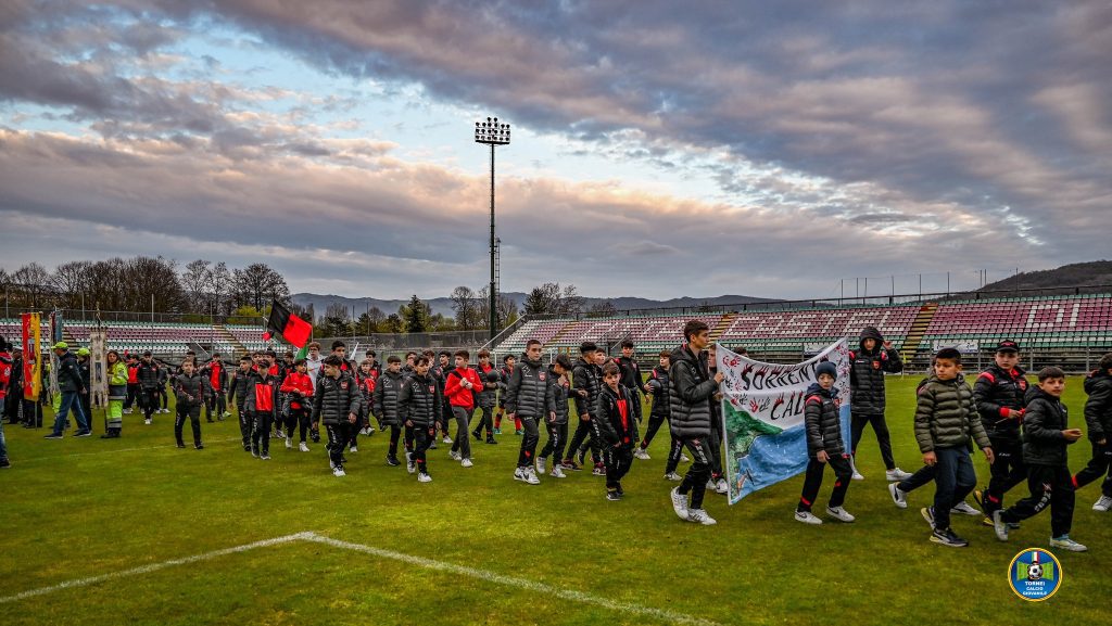 345143803 2426335277528094 8156125044291205565 n