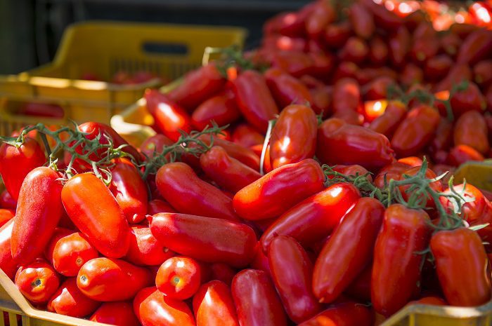 Alle fonti del Sarno la Solania ha presentato il Mio San Marzano 1 pomodori san marzano