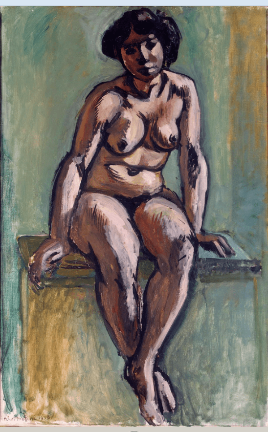 MATISSE E ROSA, CELEBRE MODELLA 1 MatisseH. Seated Nude Hermitage