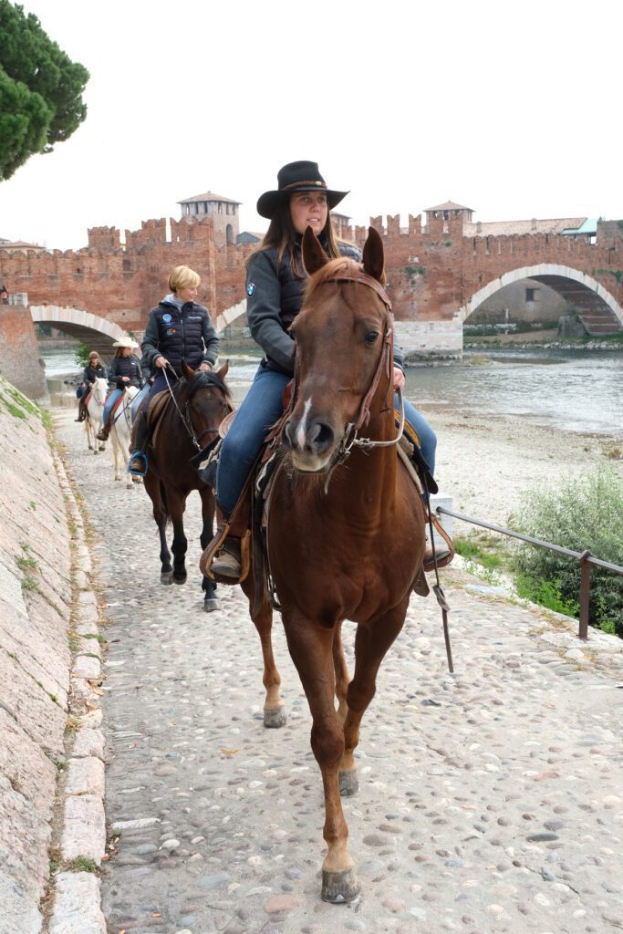A VERONA NASCE LA PRIMA EQUIVIA DEI FORTI 1 Fieracavalli Veronafiere FotoEnnevi PHO 34 1
