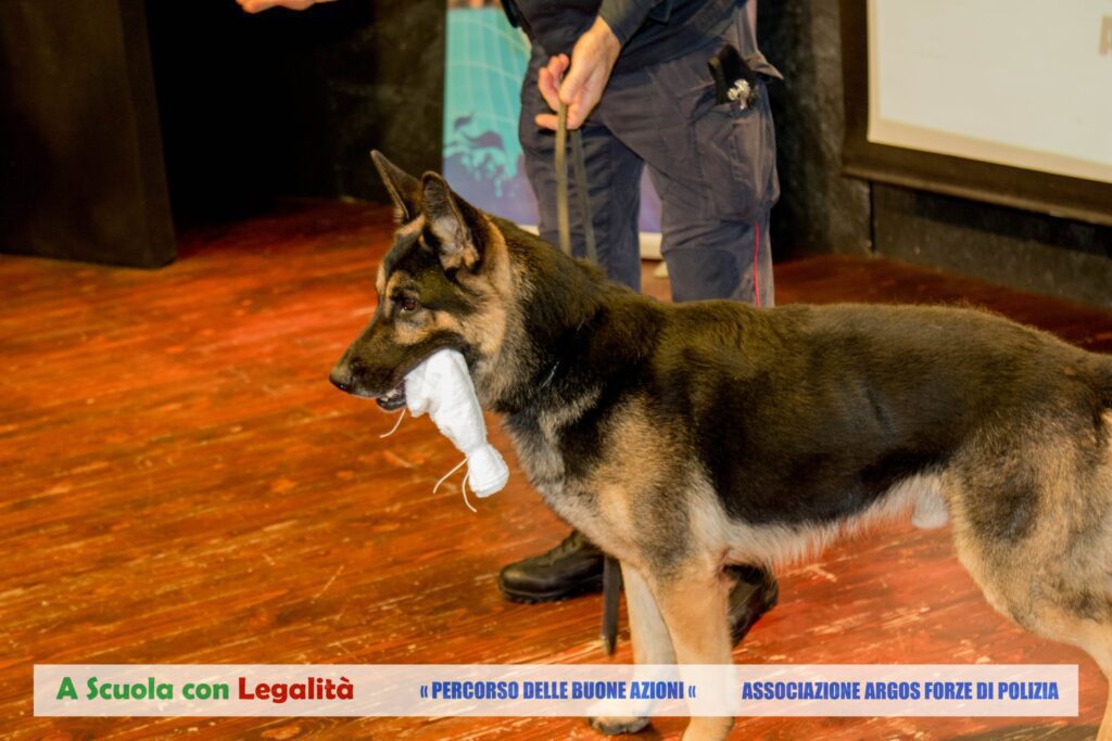 A scuola con Legalità - Una Melodia per la Sicurezza - Associazione ARGOS Forze di Polizia 8 410923321 778138704354131 1608093980115913833 n
