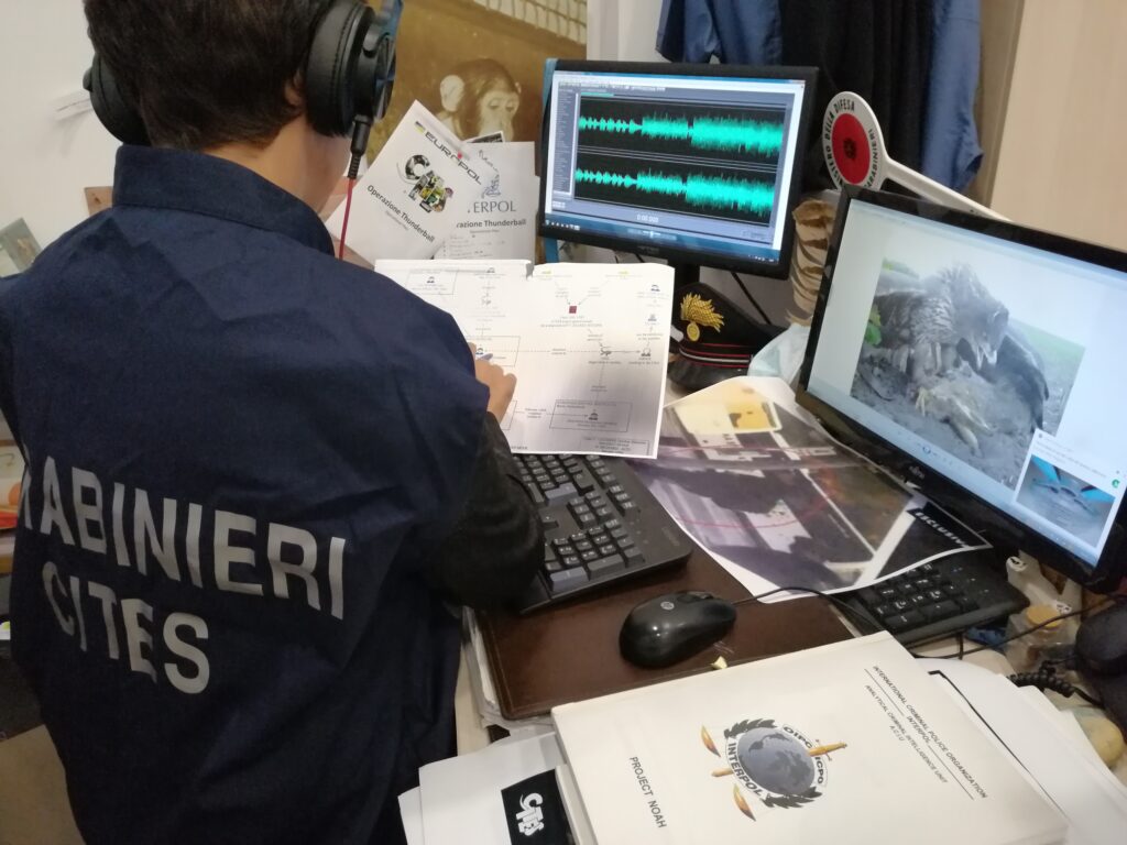 EDUCAZIONE, PREVENZIONE E CONTRASTO AL TRAFFICO ILLECITO, ABBANDONO E MALTRATTAMENTO ANIMALE 1 Amici Fedeli 12