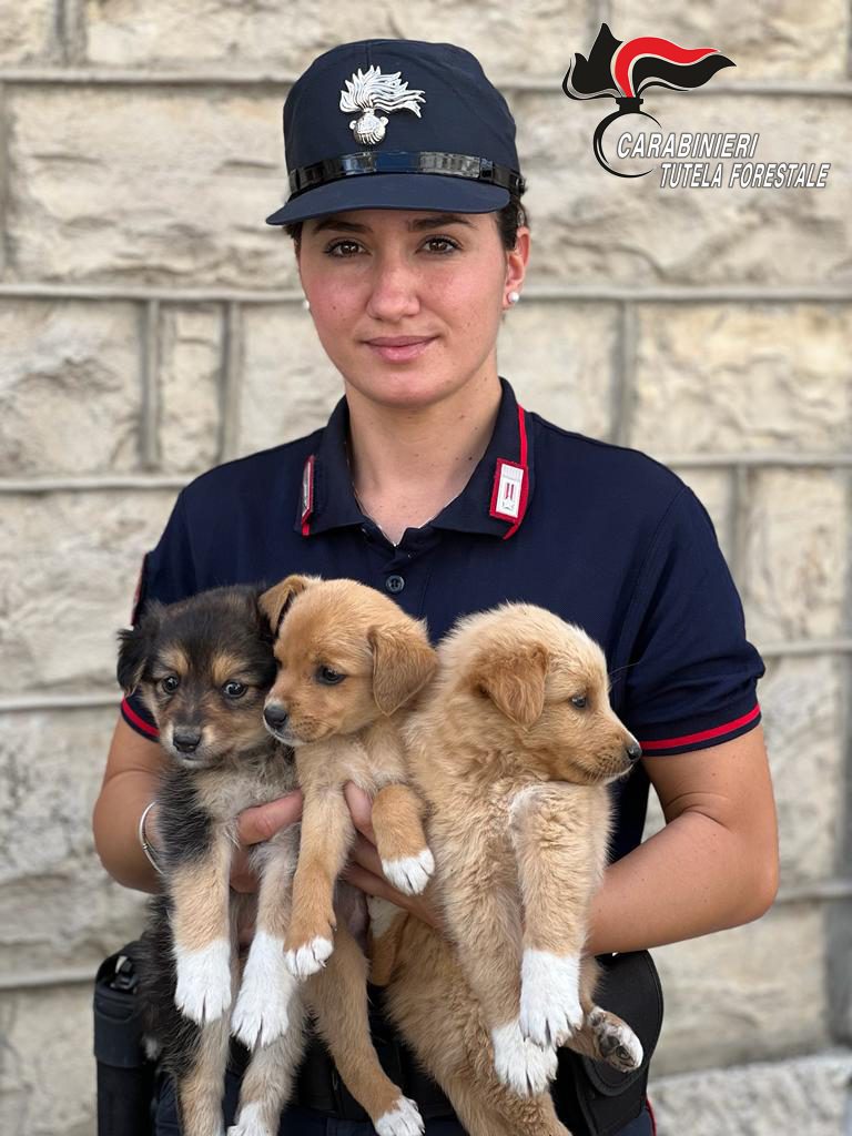 EDUCAZIONE, PREVENZIONE E CONTRASTO AL TRAFFICO ILLECITO, ABBANDONO E MALTRATTAMENTO ANIMALE 2 Amici Fedeli 15