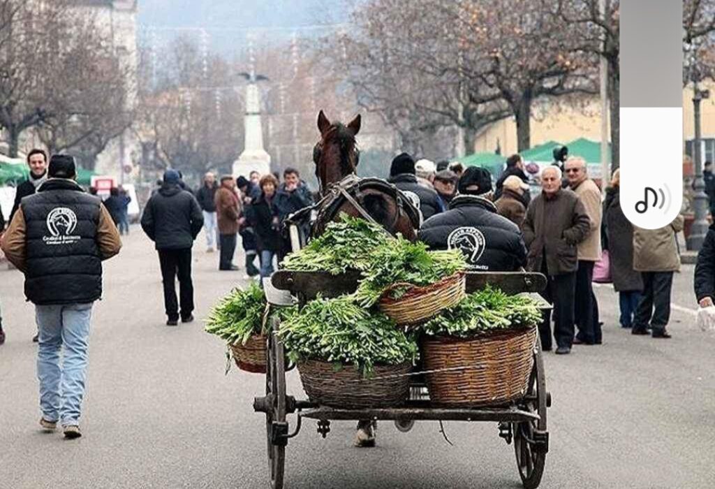 ROCCASECCA, TUTTO PRONTO PER LA FESTA DEL BROCCOLETTO DELL’8 DICEMBRE 1 Screenshot 20231202 110030 Facebook