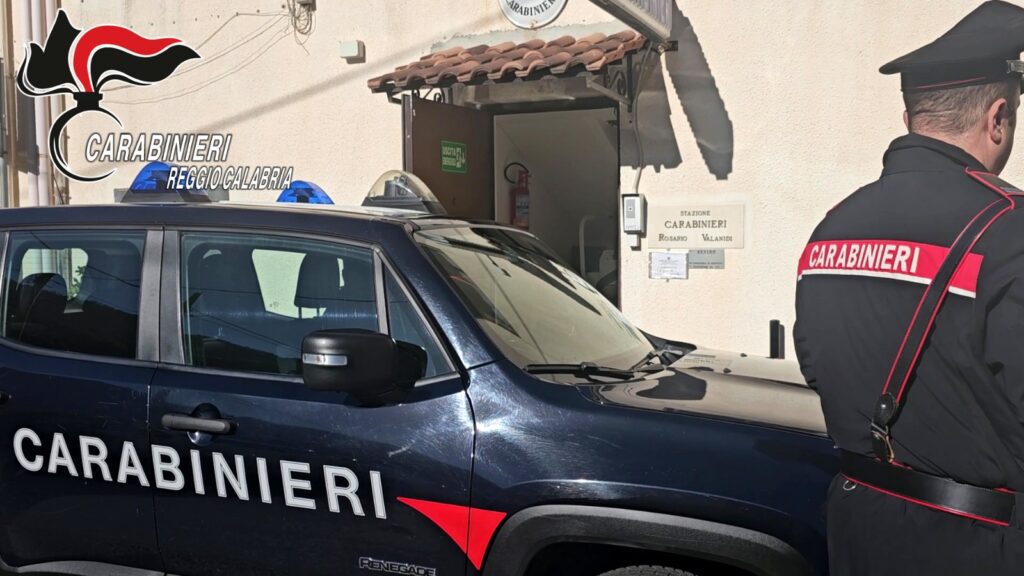 Reggio Calabria: I Carabinieri eseguono ordinanza di misura cautelare per disastro ambientale e traffico illecito di rifiuti 3 PHOTO 2024 02 09 21 21 27