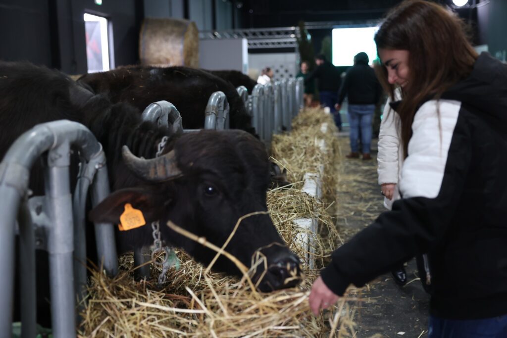 Fiera Agricola, che successo ! 1 p33