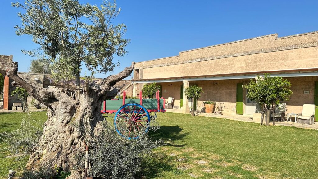 Naturalis Bio Resort un angolo di paradiso nel Salento più autentico 3 IMG 20240522 WA0032