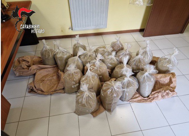 CARABINIERI DI TUSCANIA: DISARTICOLATO UN SODALIZIO CRIMINALE DI NARCOTRAFFICANTI CHE OPERAVA TRA LAZIO, SARDEGNA, CAMPANIA E EMILIA-ROMAGNA 1 kief1nuovo