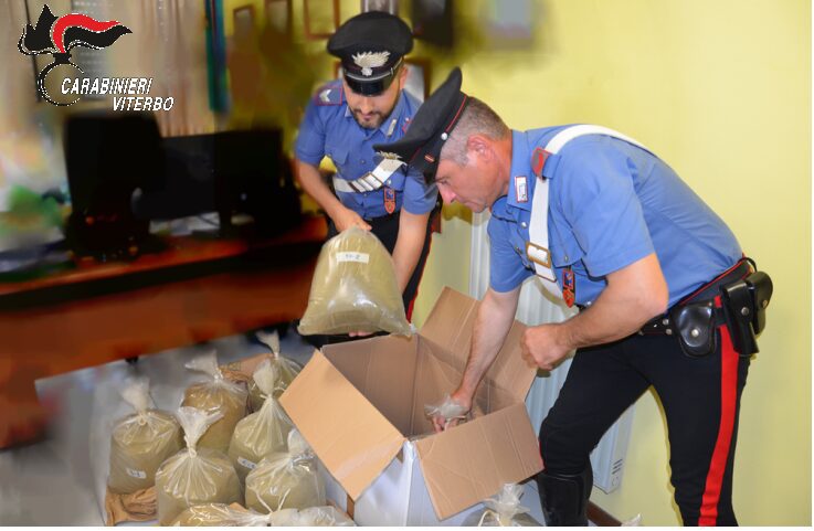 CARABINIERI DI TUSCANIA: DISARTICOLATO UN SODALIZIO CRIMINALE DI NARCOTRAFFICANTI CHE OPERAVA TRA LAZIO, SARDEGNA, CAMPANIA E EMILIA-ROMAGNA 2 kiefnuono