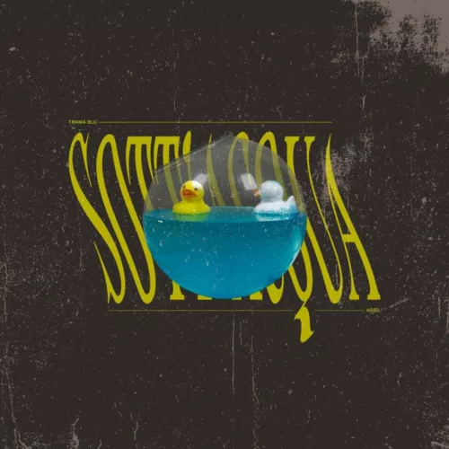 cover 8