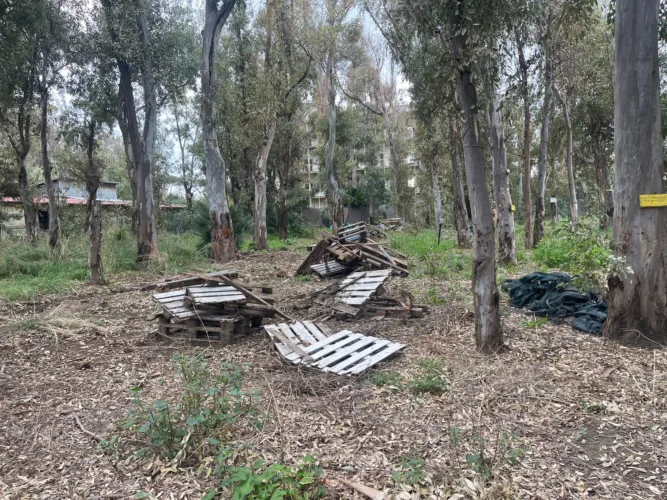 SANTA SEVERA, AL VIA I LAVORI NELL’AREA DELLA EX POLISPORTIVA RIQUALIFICATA GRAZIE A UN BANDO DELLA REGIONE LAZIO 1 Sant Severa 1 2