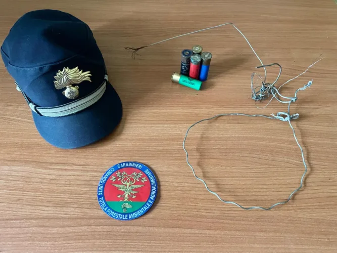 CARABINIERI FORESTALE: DENUNCIATO PER BRACCONAGGIO UN CINQUANTASETTENNE 1 rivodutri