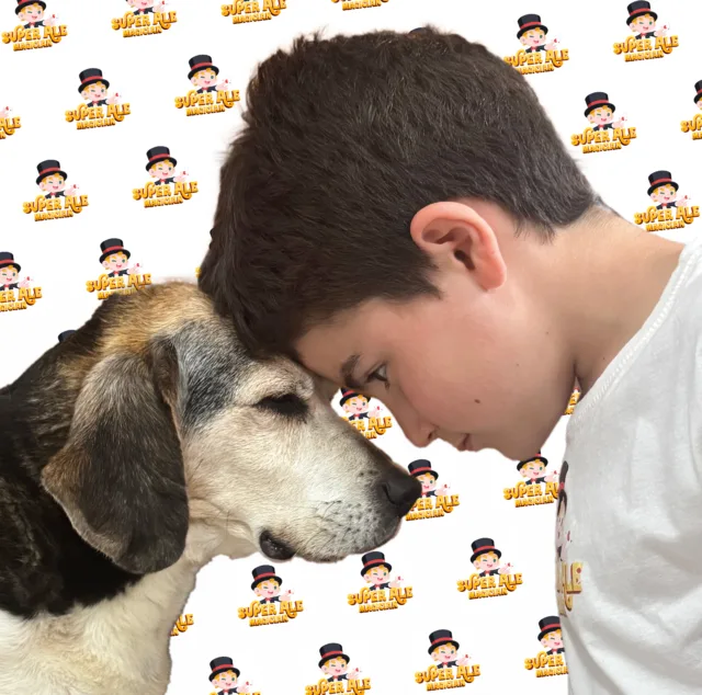 pet camper tour