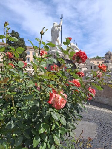 Roma - Il roseto di piazza del Popolo festeggia 6 anni 2 WhatsApp Image 2025 05 20 at 20.02.00
