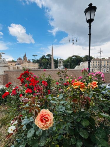 Roma - Il roseto di piazza del Popolo festeggia 6 anni 4 WhatsApp Image 2025 05 20 at 20.02.04