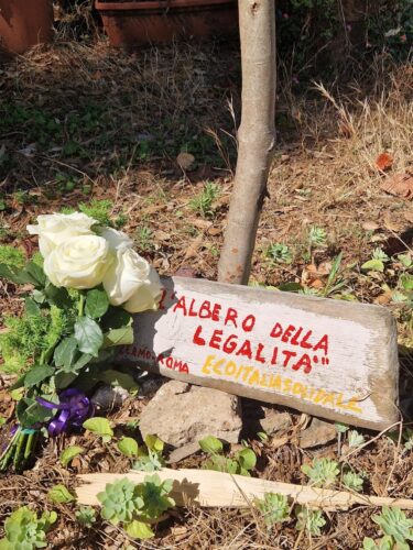 OSTIA ANTICA, “L’ALBERO DELLA LEGALITÀ” RICORDA BORSELLINO: UN IMPEGNO CIVILE CHE CONTINUA A CRESCERE 1 Ostia A. 2