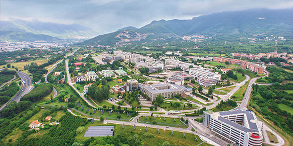 Dottorati di Ricerca in Ingegneria Industriale dell’Università degli Studi di Salerno 1 Universita degli Studi di Salerno