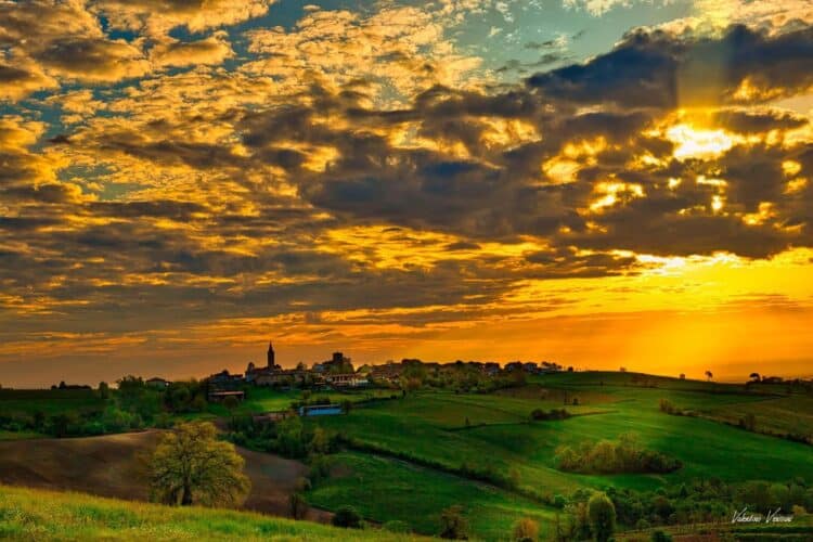 WhatsApp Image 2025 09 10 at 09.44.08