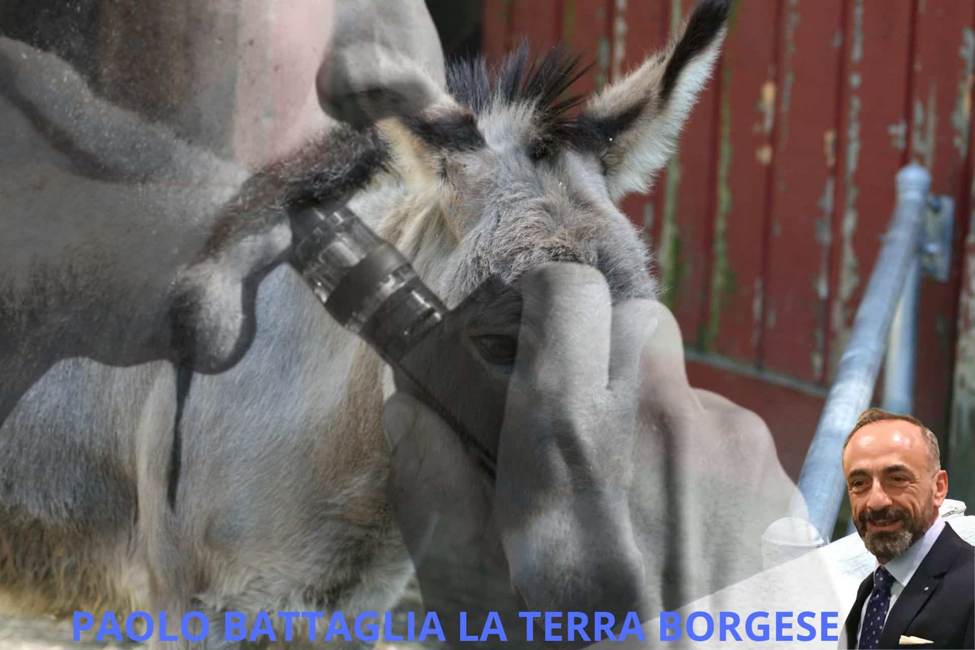 SIGARETTA ELETTRONICA, BATTAGLIA LA TERRA BORGESE LANCIA L’ALLARME: VIETARE LO SVAPO NEI SUPERMERCATI critico_d_arte_paolo_battaglia_la_terra_borgese