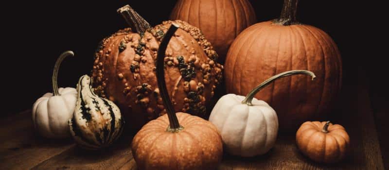 Zucche, leggende e gite d’autunno Zucche, leggende e gite d’autunno
