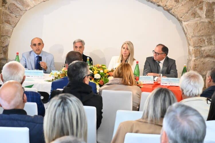 WhatsApp Image 2025 10 29 at 07.27.58