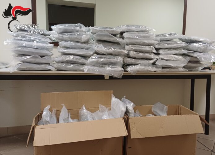 Savona, sequestrati 66 kg di marijuana nascosti in casse acustiche: 2 1