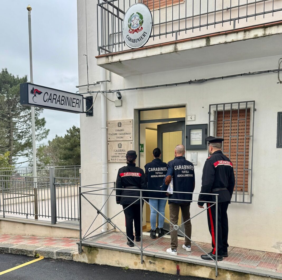 TRUFFA AI DANNI DELL’UNIONE EUROPEA TRUFFA AI DANNI DELL’UNIONE EUROPEA