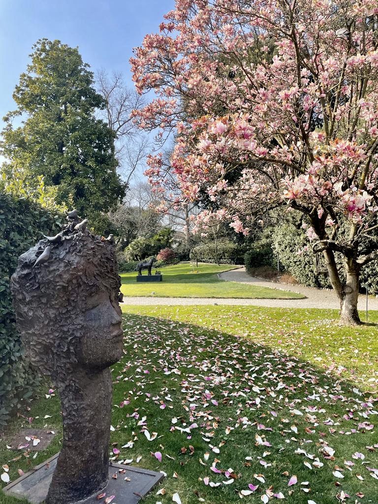A Roma tra i colori dell’Hanami A Roma tra i colori dell’Hanami