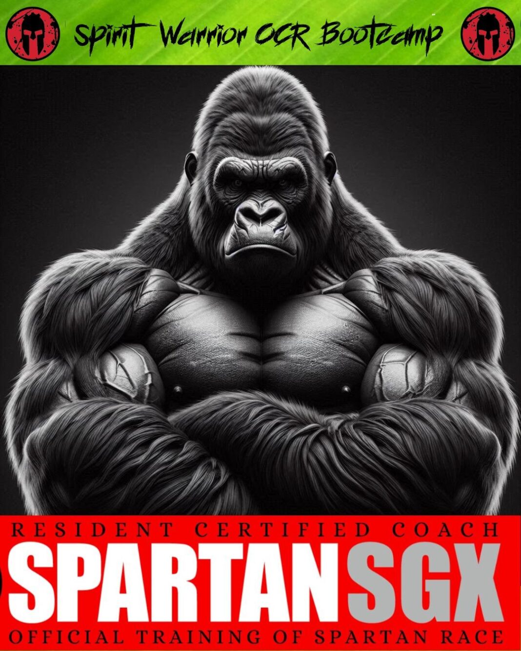 Ad Ardea nasce il primo e unico campo SGX Spartan Race del Centro e Sud Italia Ad Ardea nasce il primo e unico campo SGX Spartan Race del Centro e Sud Italia