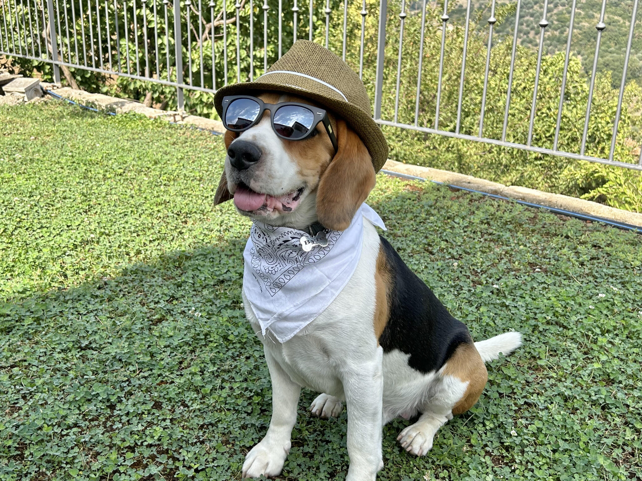 Vacanze per friendly tra nuove tendenze e desiderio di condivisione Vacanze per friendly tra nuove tendenze e desiderio di condivisione