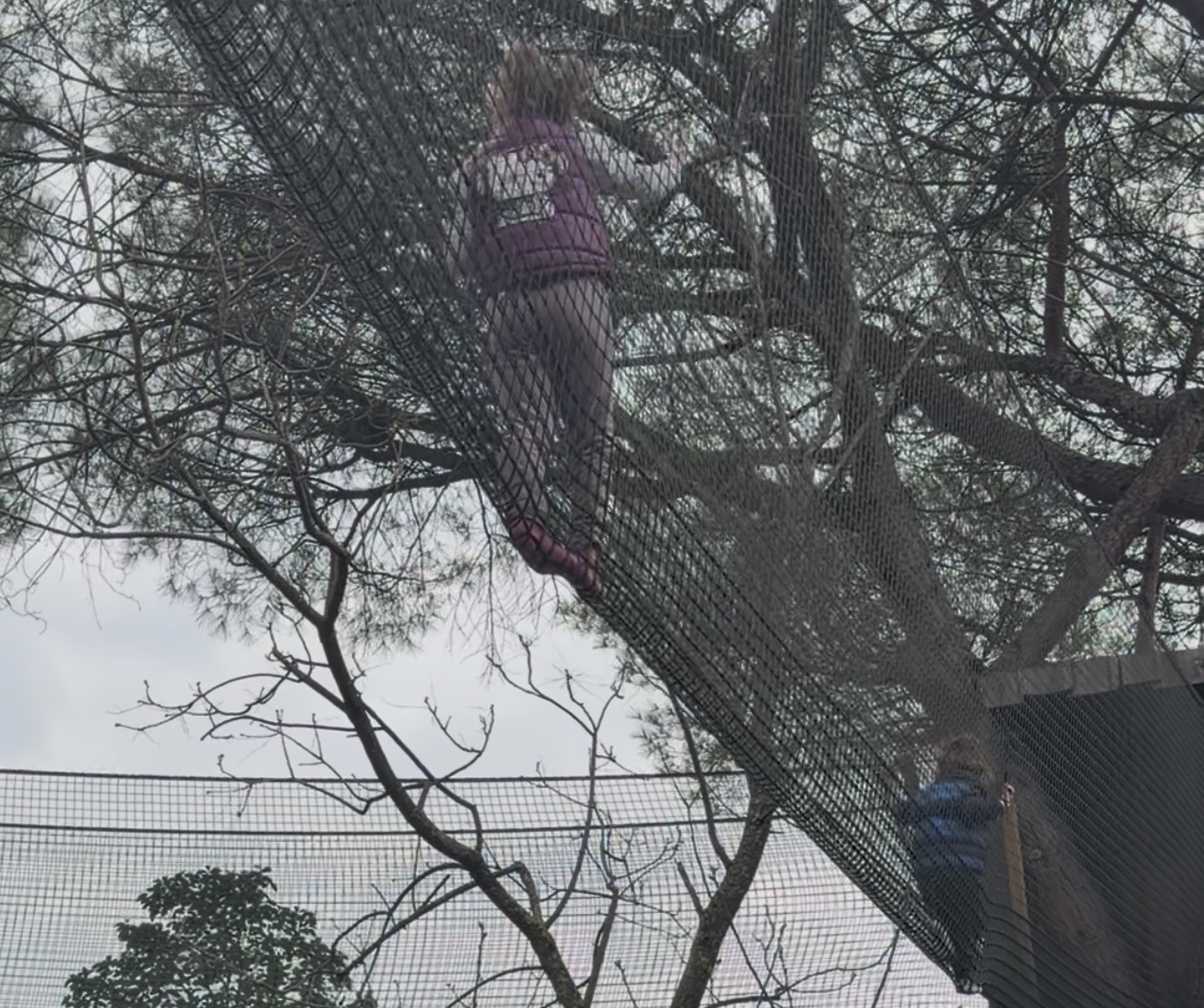 Appia Joy Park: tra farfalle, dinosauri e percorsi avventura, il divertimento si rinnova a Roma Appia Joy Park: tra farfalle, dinosauri e percorsi avventura, il divertimento si rinnova a Roma
