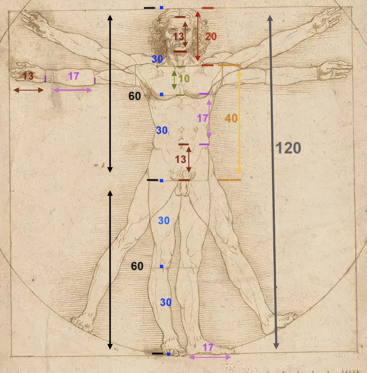L’Uomo Vitruviano di Leonardo da Vinci L’Uomo Vitruviano di Leonardo da Vinci