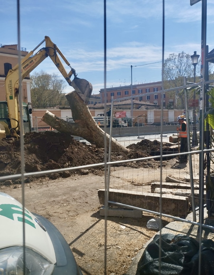 STOP ALLE MOTOSEGHE a Roma le ditte rischiano denunce penali STOP ALLE MOTOSEGHE a Roma le ditte rischiano denunce penali