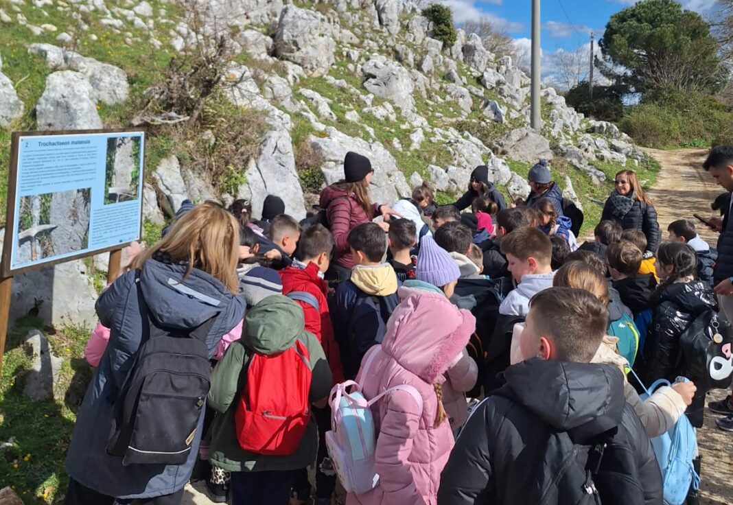 Omaggio alla Terra allo SMuRC: un weekend alla scoperta della Scogliera Cretacica fossile. 25 e 26 aprile 2026 Omaggio alla Terra allo SMuRC: un weekend alla scoperta della Scogliera Cretacica fossile. 25 e 26 aprile 2026