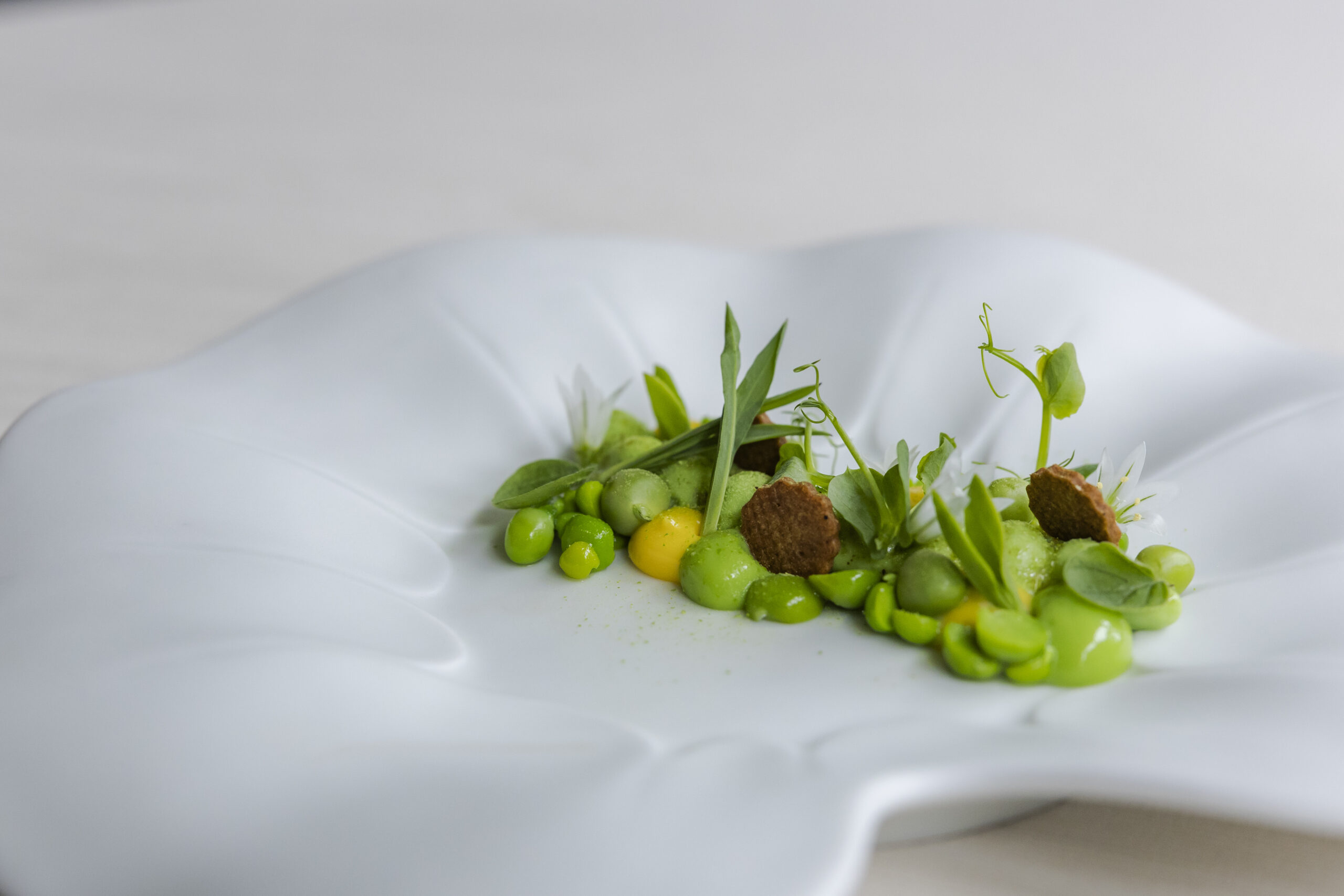 I sapori della Primavera prendono forma nella cucina di Antonello Sardi I sapori della Primavera prendono forma nella cucina di Antonello Sardi